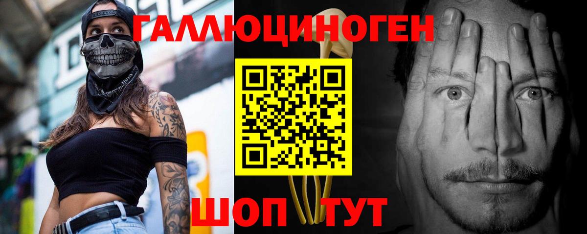 Кингисепп  Псилоцибиновые грибы ЛСД  Псилоцибиновые грибы GOLDEN TEACHER  где найти наркотики  Вход с VPN 